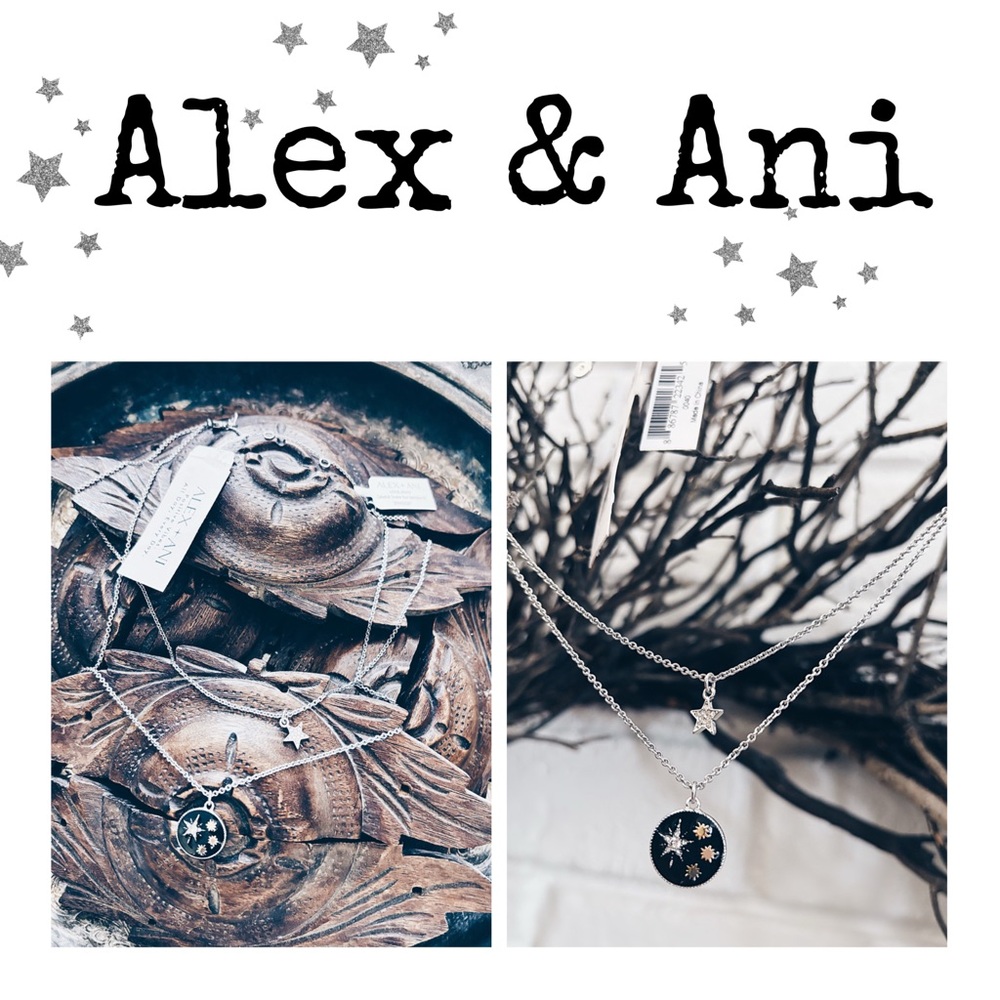 Alex and Ani Celestial Double Row Necklace NWT Silver Black Enamel M - Picture 2 of 9